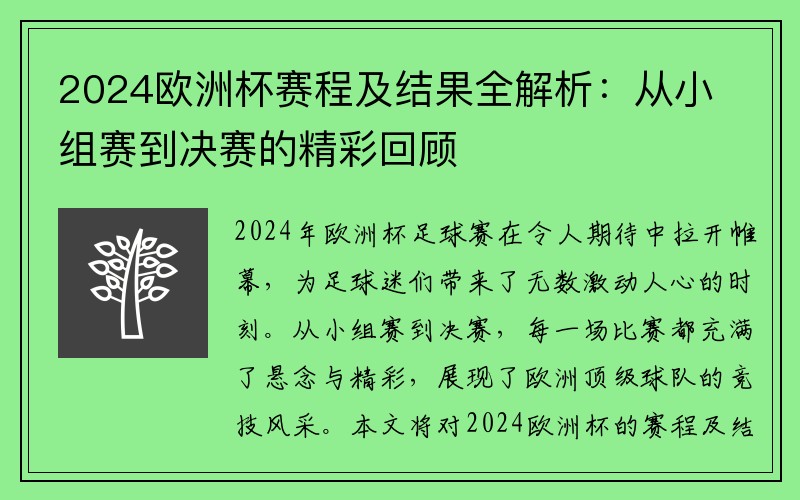 2024欧洲杯赛程及结果全解析：从小组赛到决赛的精彩回顾